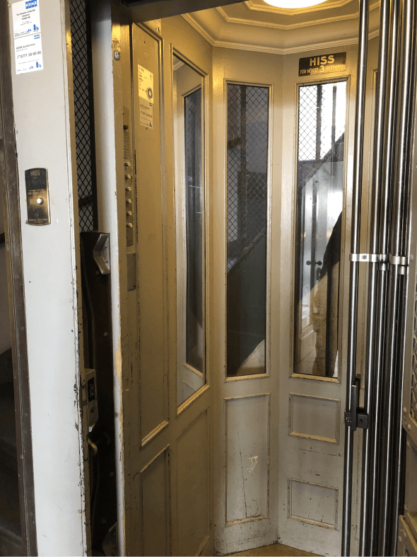 Korgrenovering Ek – bild 2 av 9